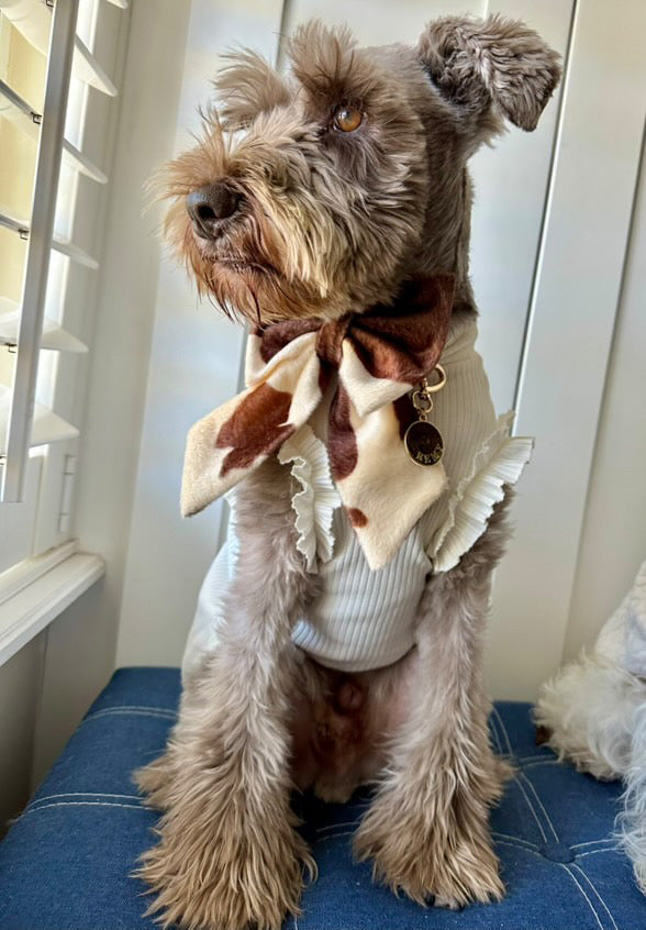 Stylish Frill Dog Top