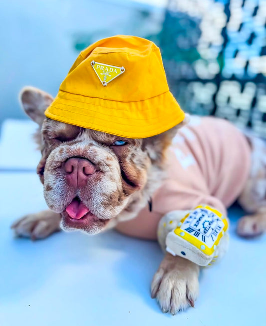 Pawtier Watch Dog Toy