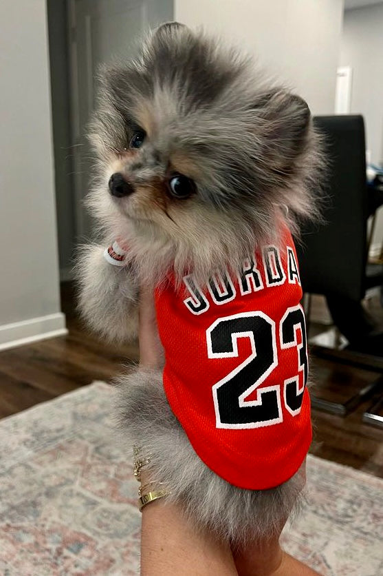 Game Time Jersey