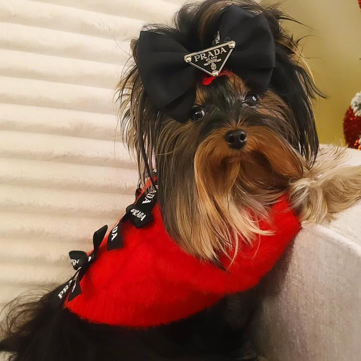 Pawda Lux Bow