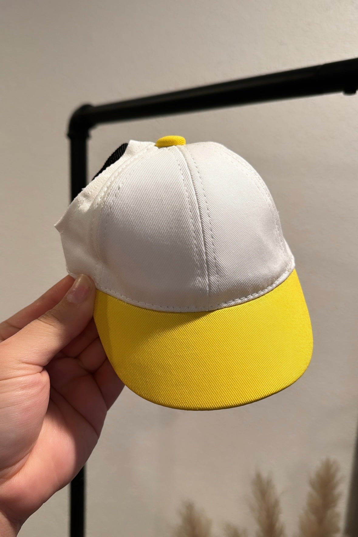 Sporty Dog Baseball Cap