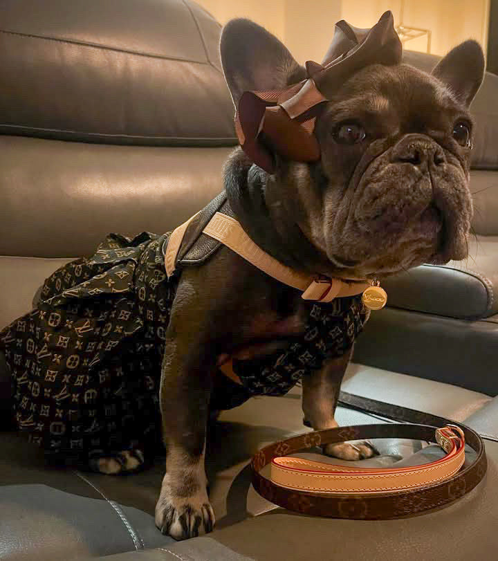 Furry Vuiton Brown Dress