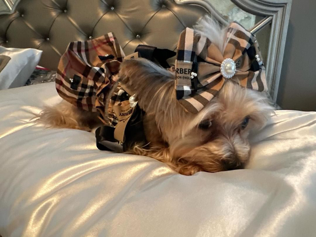 Pretty in Plaid Dog Outfit – 2-Piece Top & Skirt Set