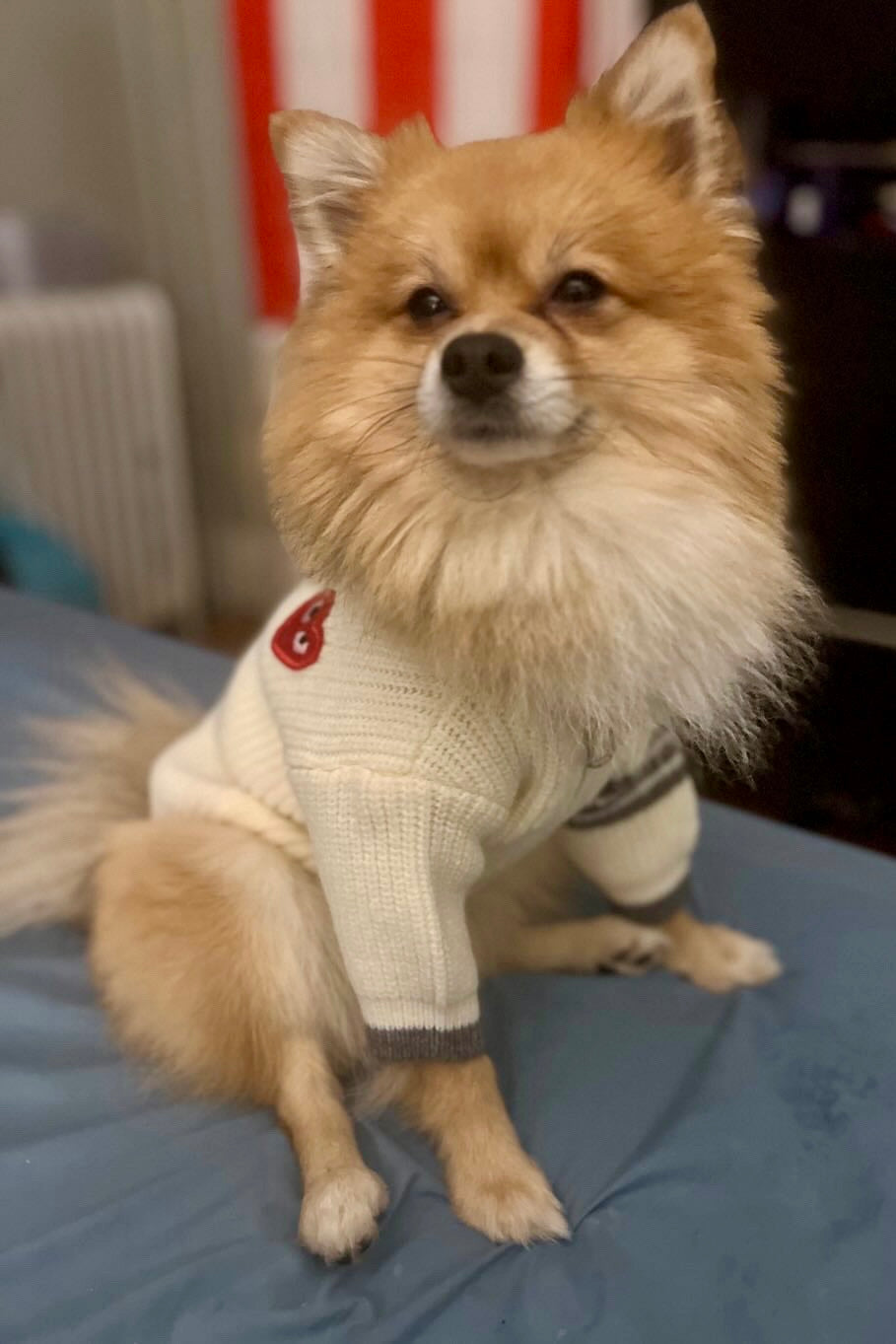 Bark Zip Up Hoodie