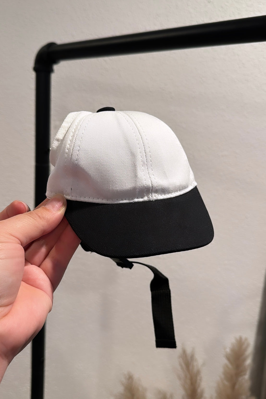 Sporty Dog Baseball Cap