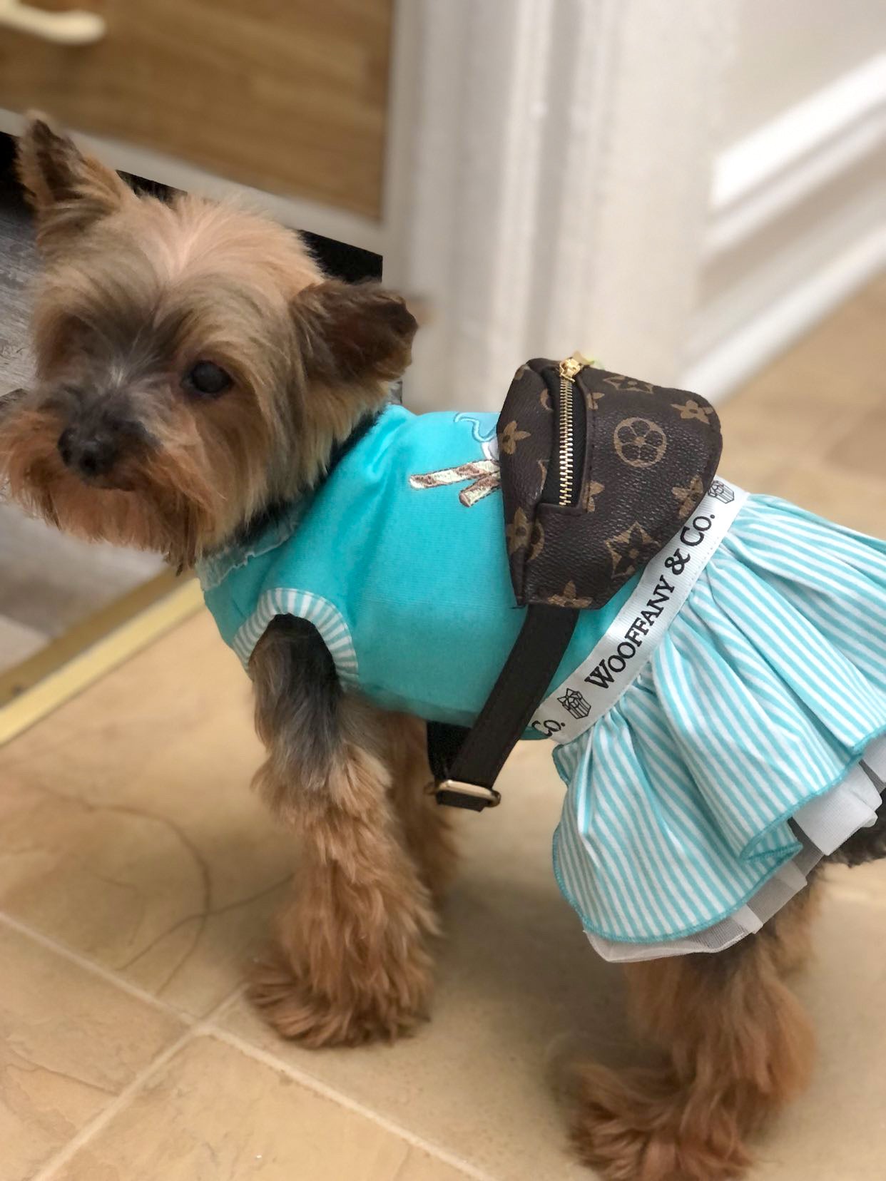 Wooffany & Co. Cup Cake Dress