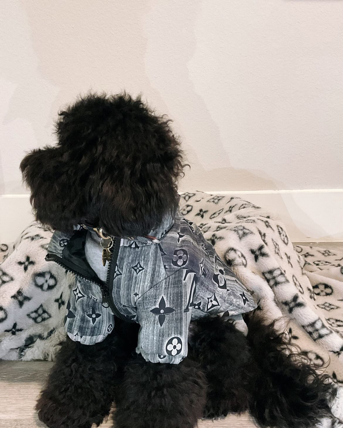 Stylish High-Neck Dog Jacket