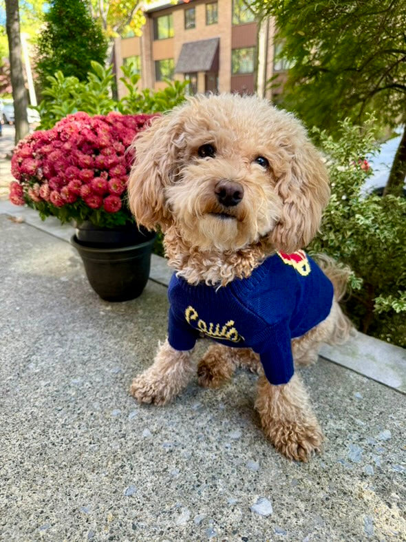 Furry Vuiton Sweater