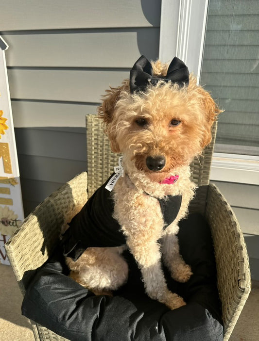 Stretchy Pawda Dress with Pleated Skirt & Bow Strap Details