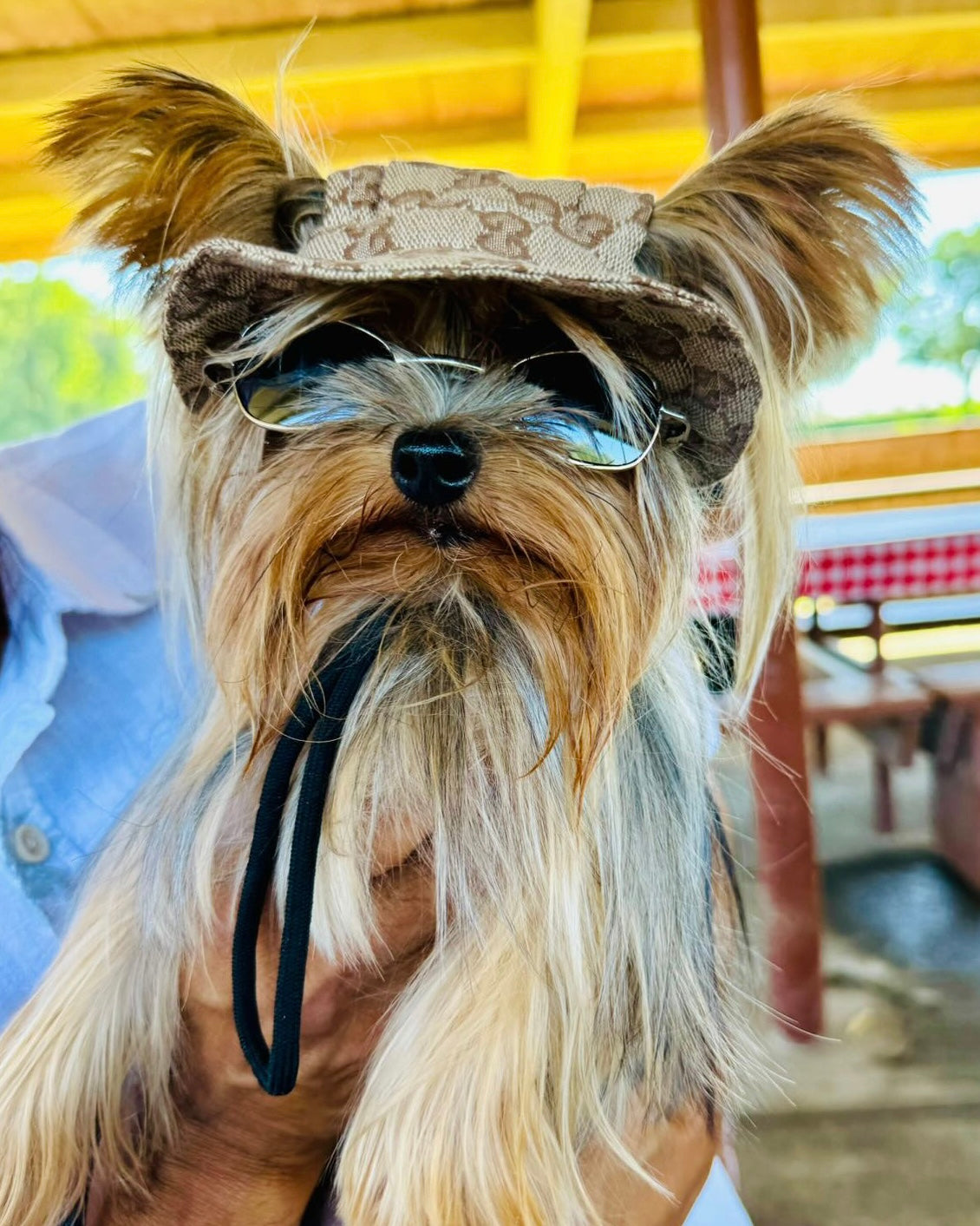 Grrrci Dog Bucket Hat