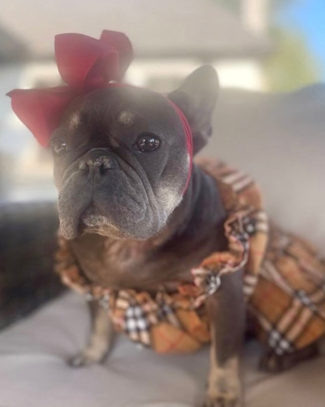 Pretty in Plaid Dog Outfit – 2-Piece Top & Skirt Set