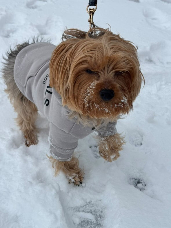 Fearless of Dog Hoodie