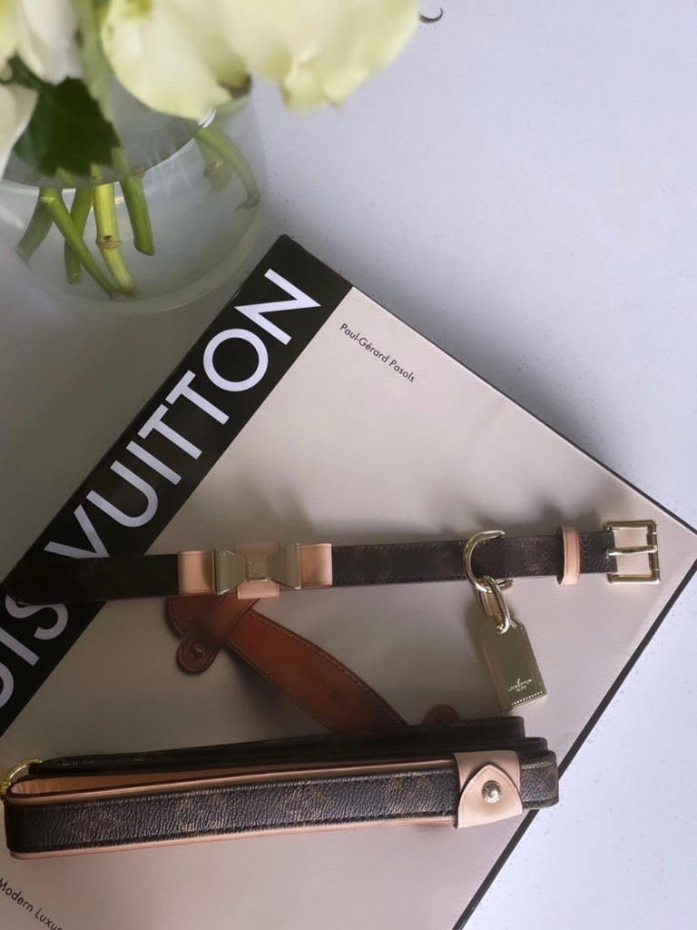 Luxury Dog Collar with Leash Set