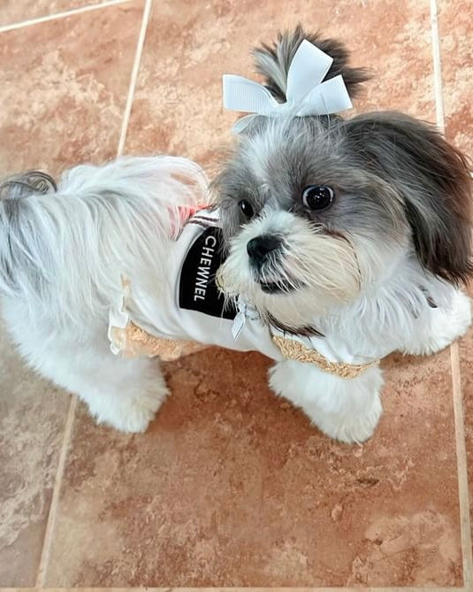 The Shopaholic Dress – Limited Edition Designer-Inspired Dog Dress