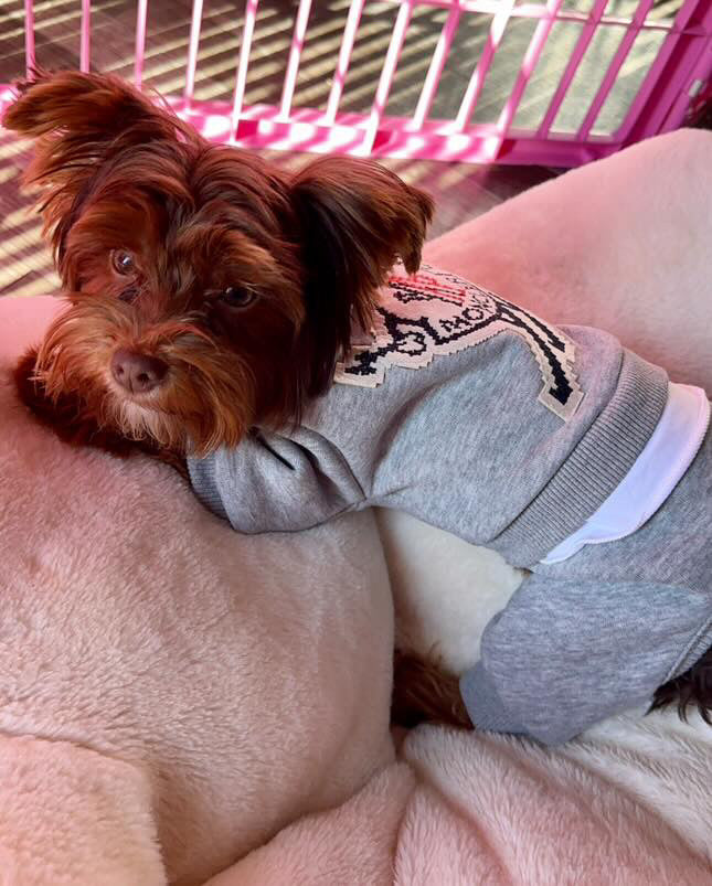 Bonecler Sweatsuit