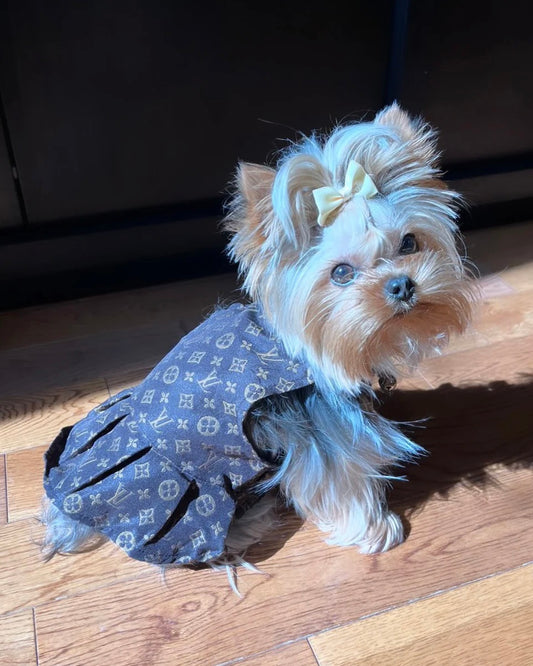 Furry Vuiton Brown Dress