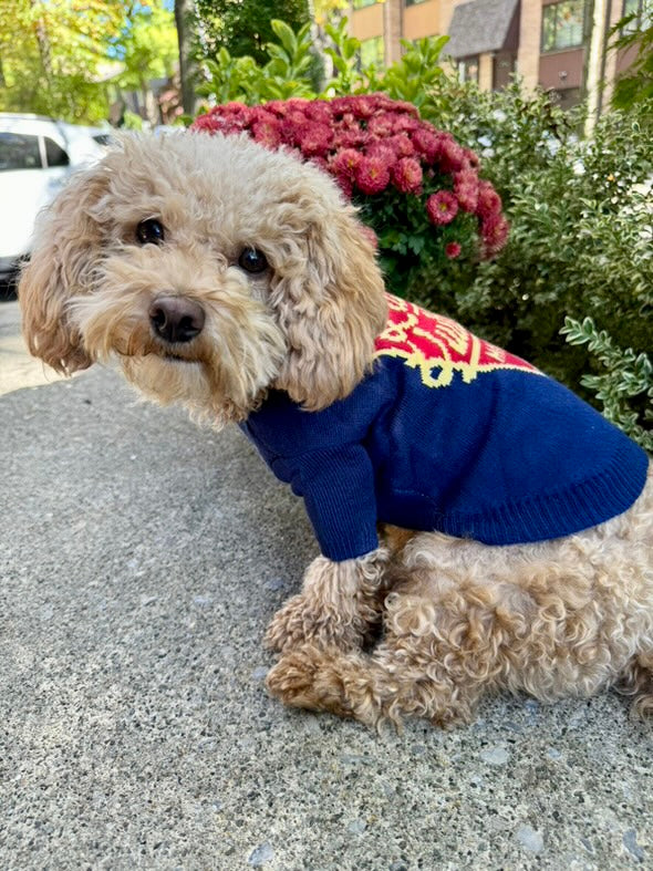 Furry Vuiton Sweater