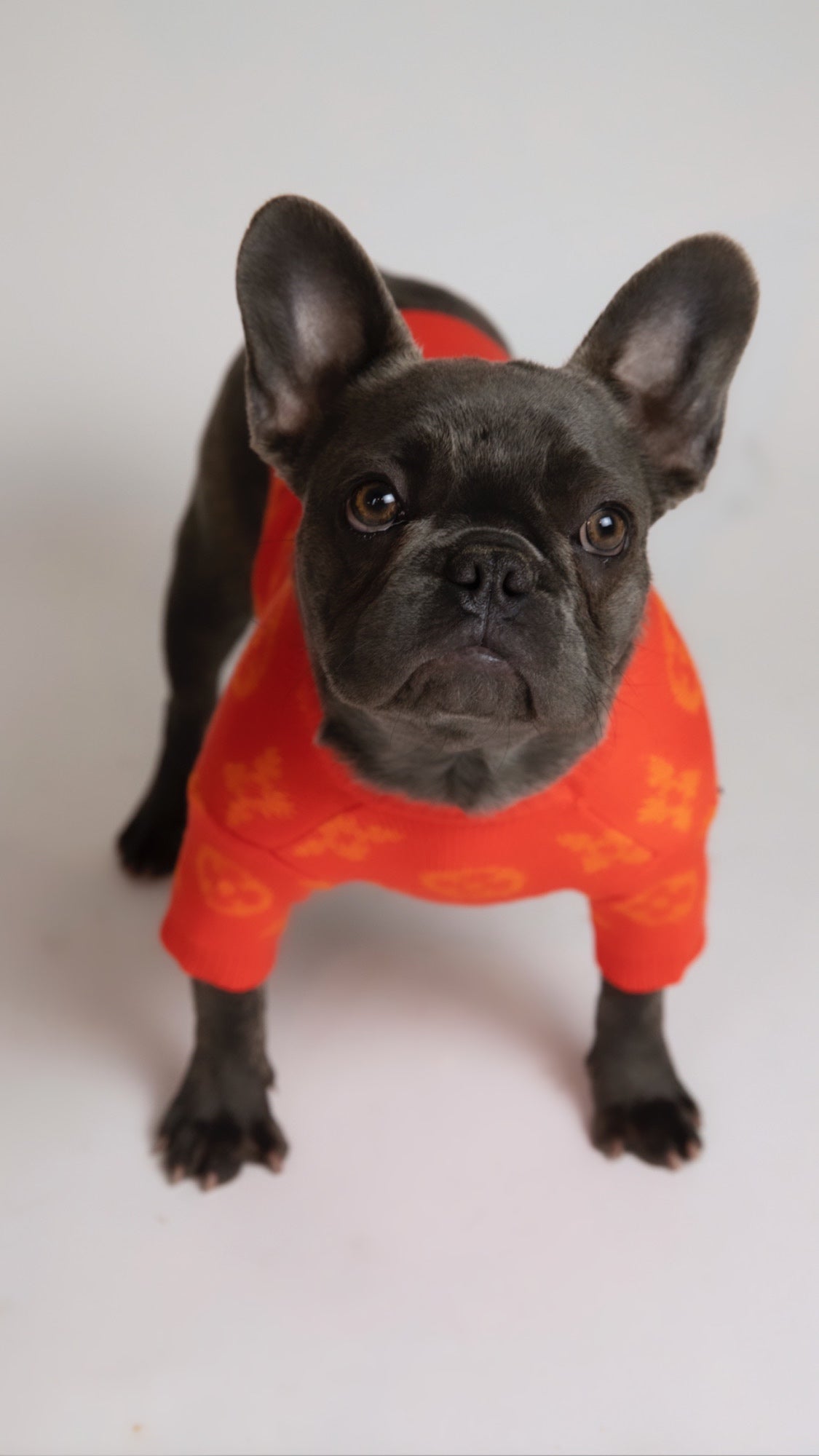 Furry Vuitton Sweater