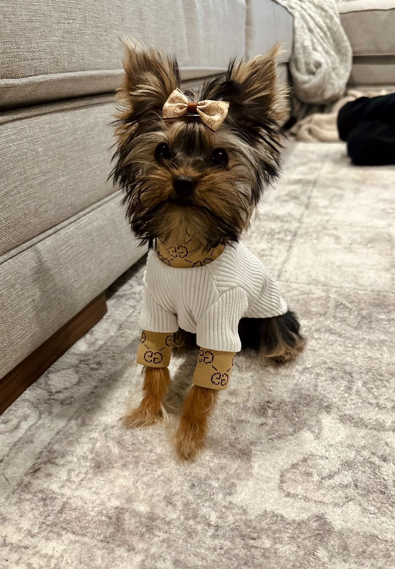 Poochi Lux Turtle Neck Top