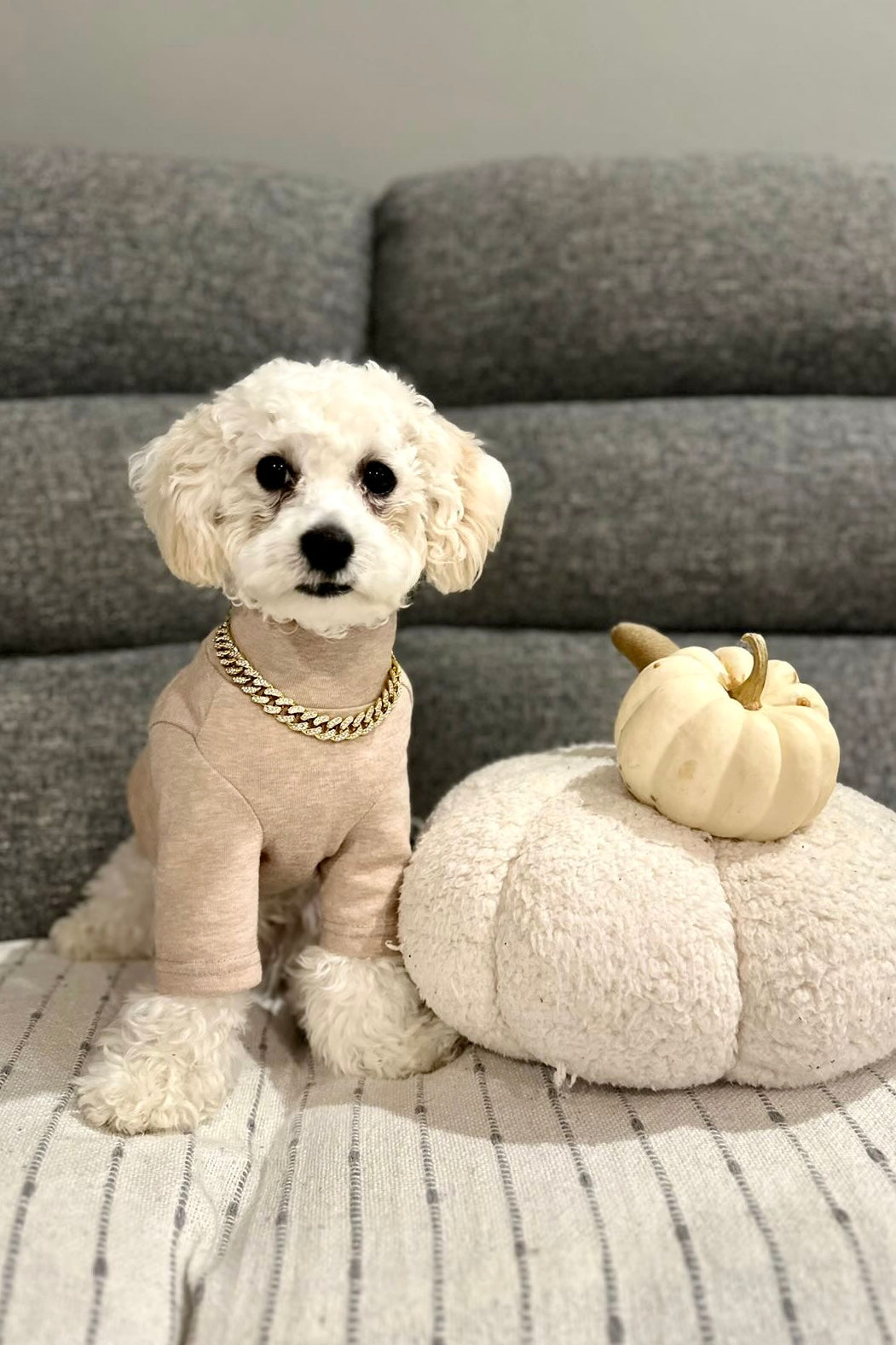 The Basics Turtleneck – Soft & Stretchy Everyday Dog Top