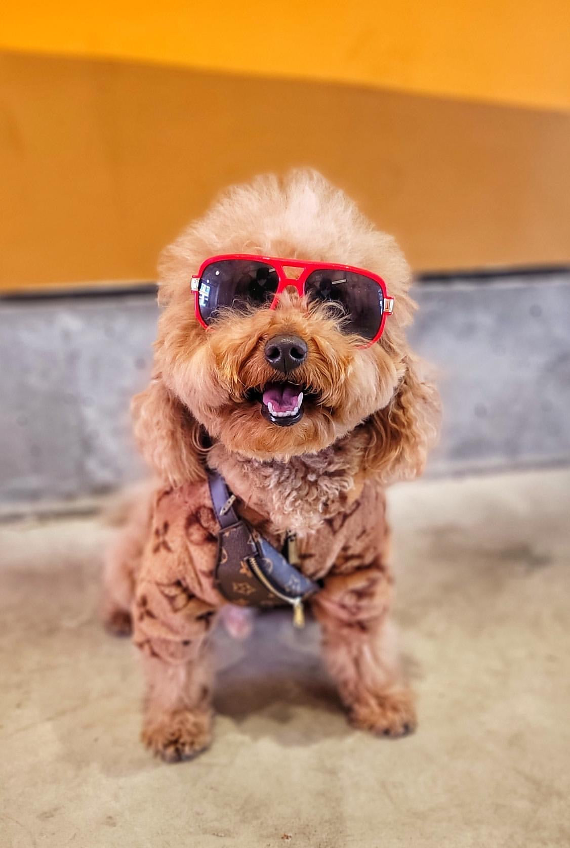 Furry Vuiton Mini Pup Bumbag