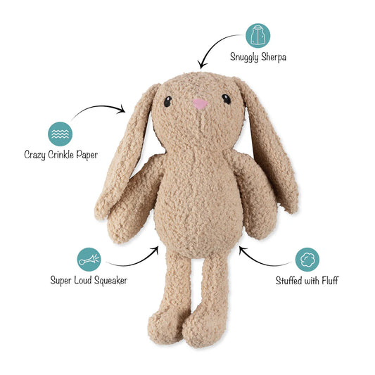 Hoppy to See You Plush Bunny Dog Toy
