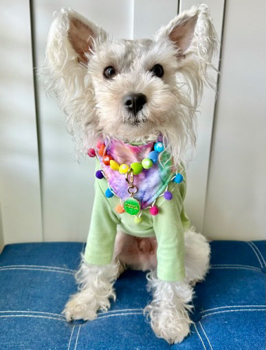 The Basics Turtleneck 2.0 – Soft, Stretchy Everyday Dog Essential