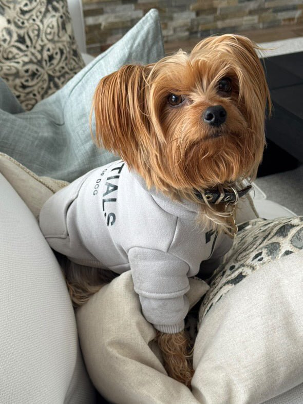 Fearless of Dog Hoodie