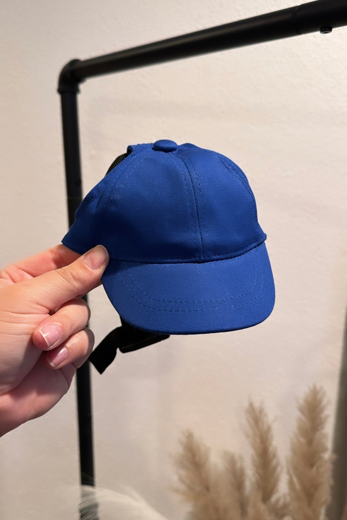 Sporty Dog Baseball Cap