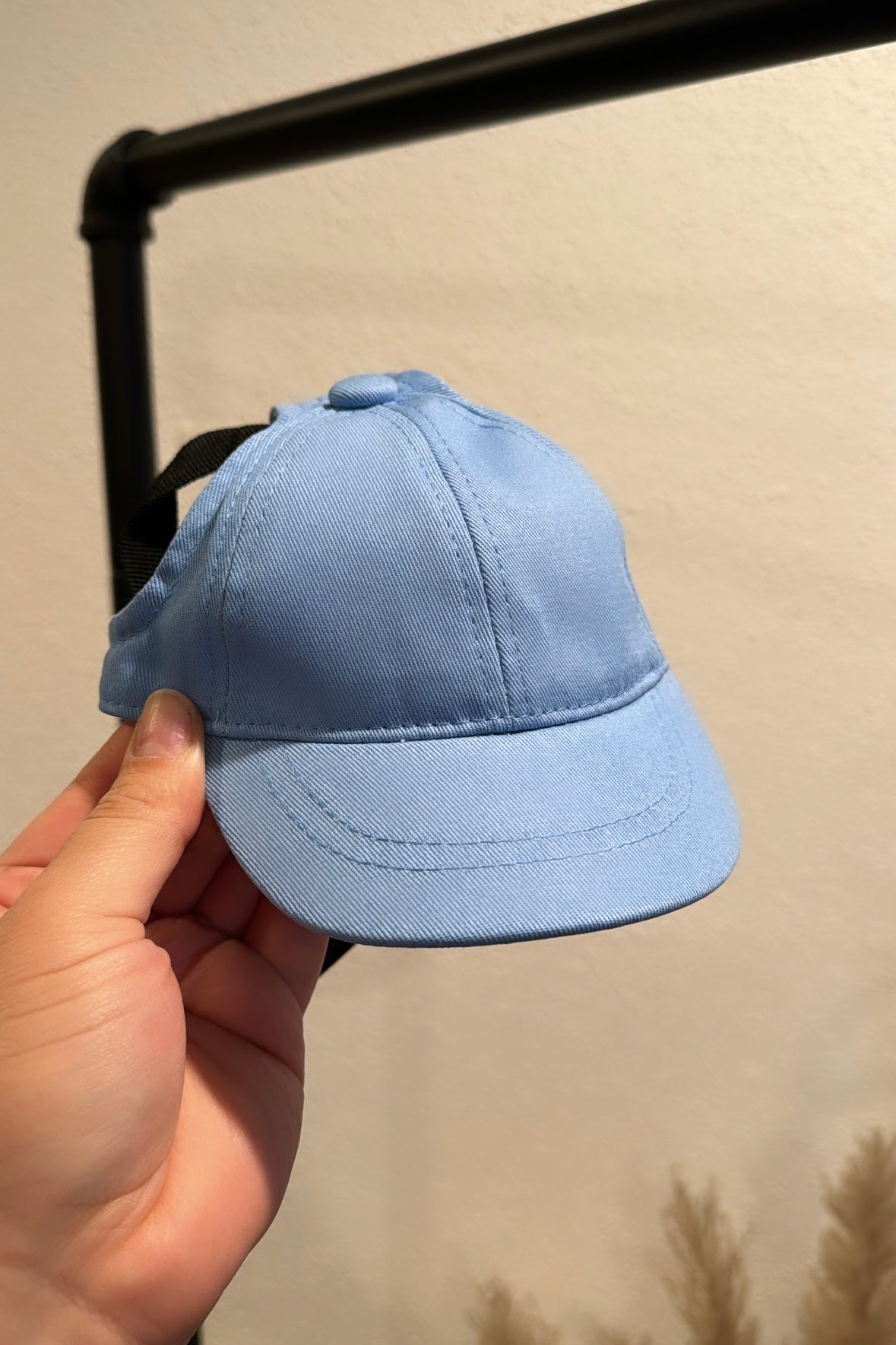 Sporty Dog Baseball Cap