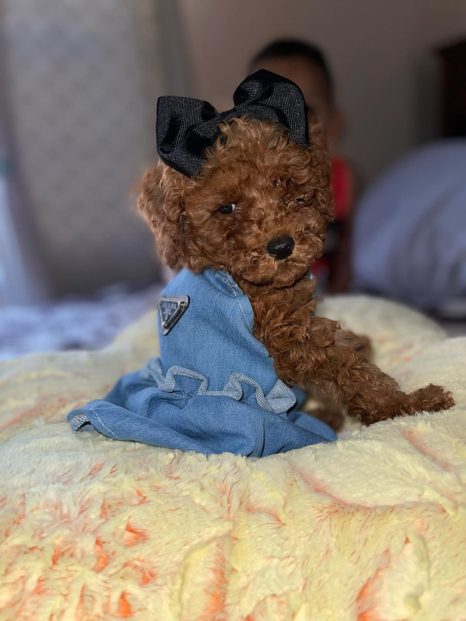 Pawda Denim Dress