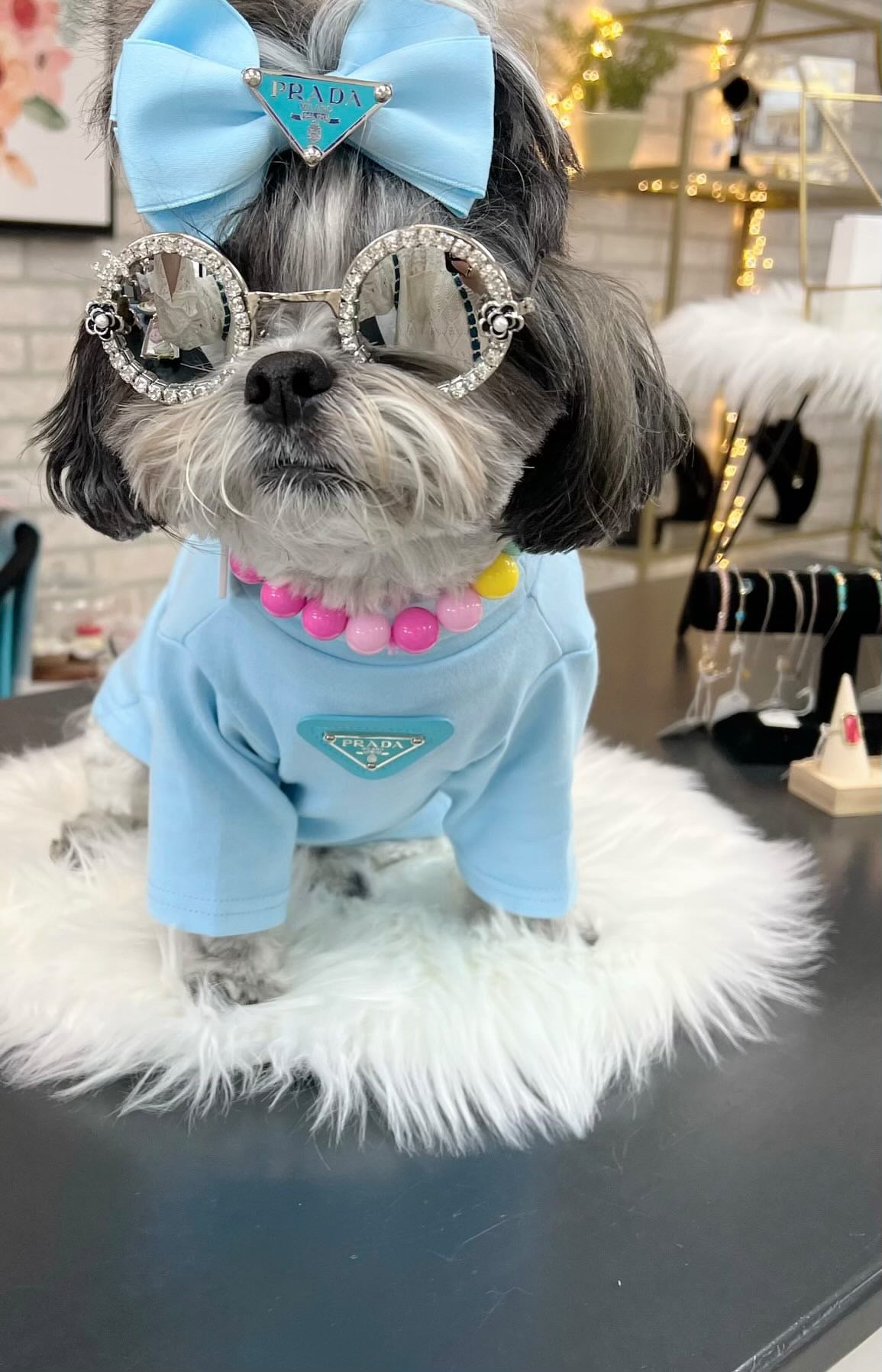 Pawda Lux Bow