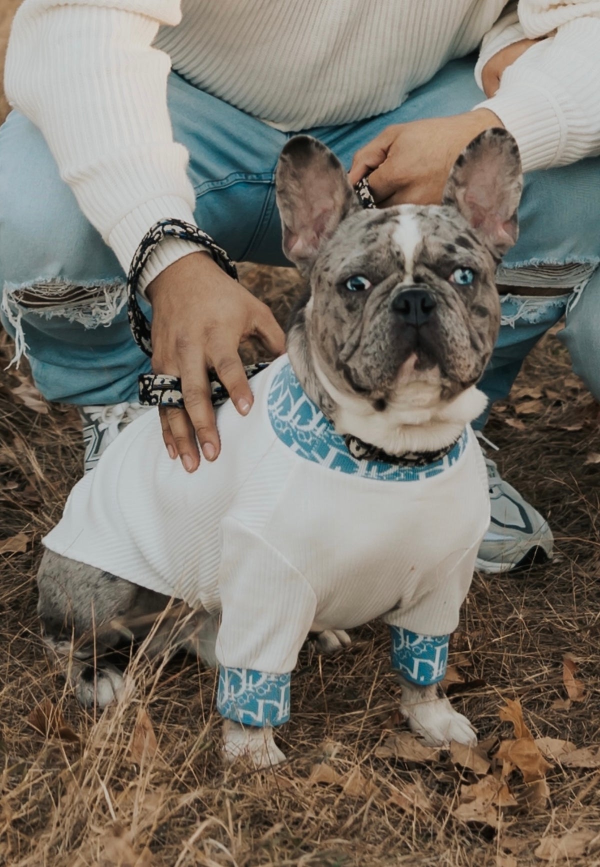 Lux Dogior Turtle Neck