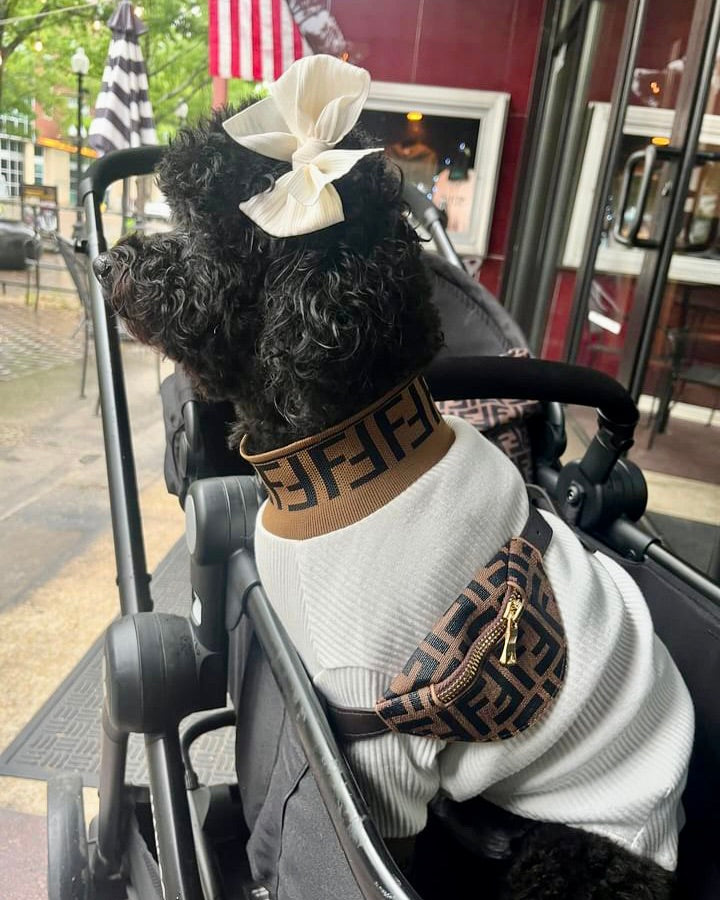 Fetchi Mini Pup Bumbag