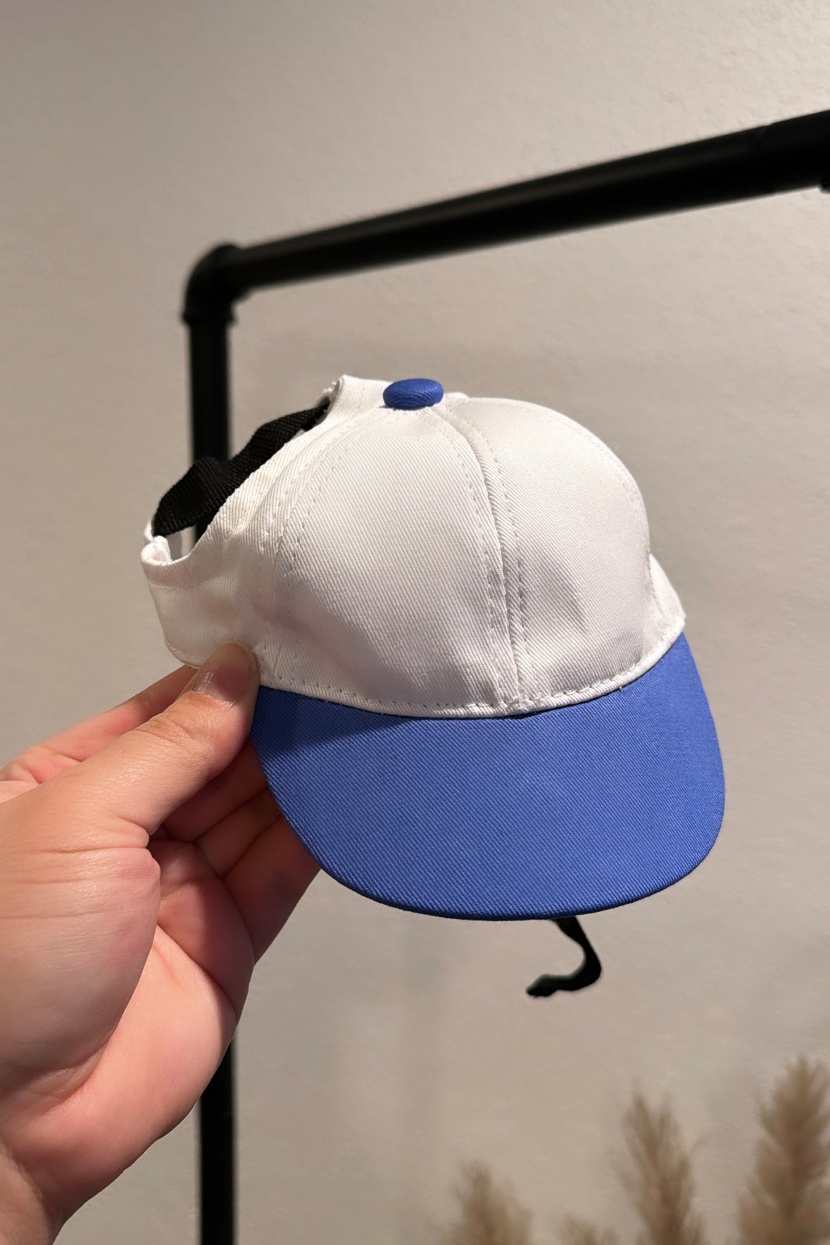 Sporty Dog Baseball Cap