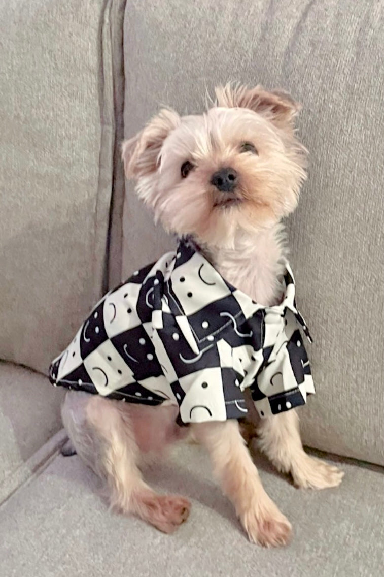 Smile Now, Cry Later Button Up