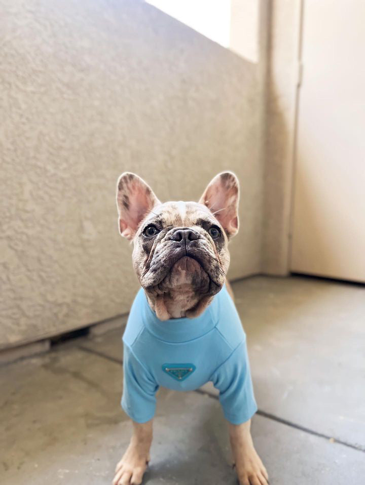 Pawda Lux Turtle Neck