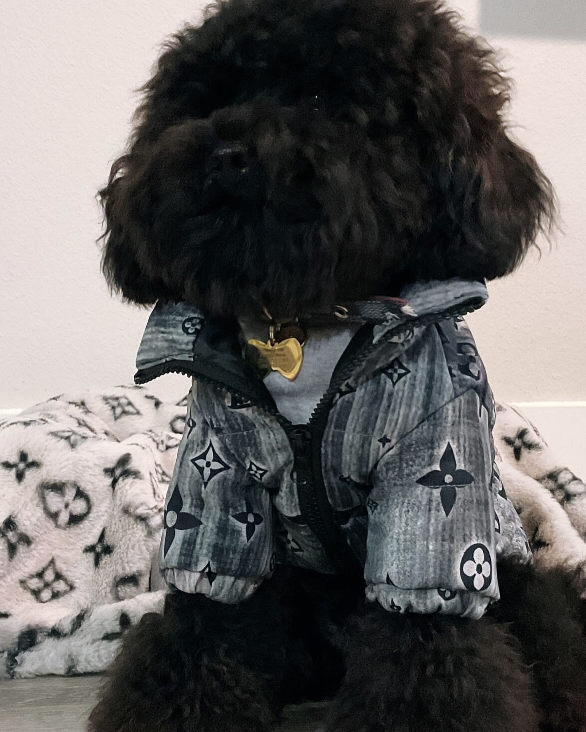 Stylish High-Neck Dog Jacket
