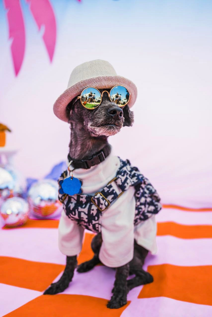 The Basics Turtleneck – Soft & Stretchy Everyday Dog Top