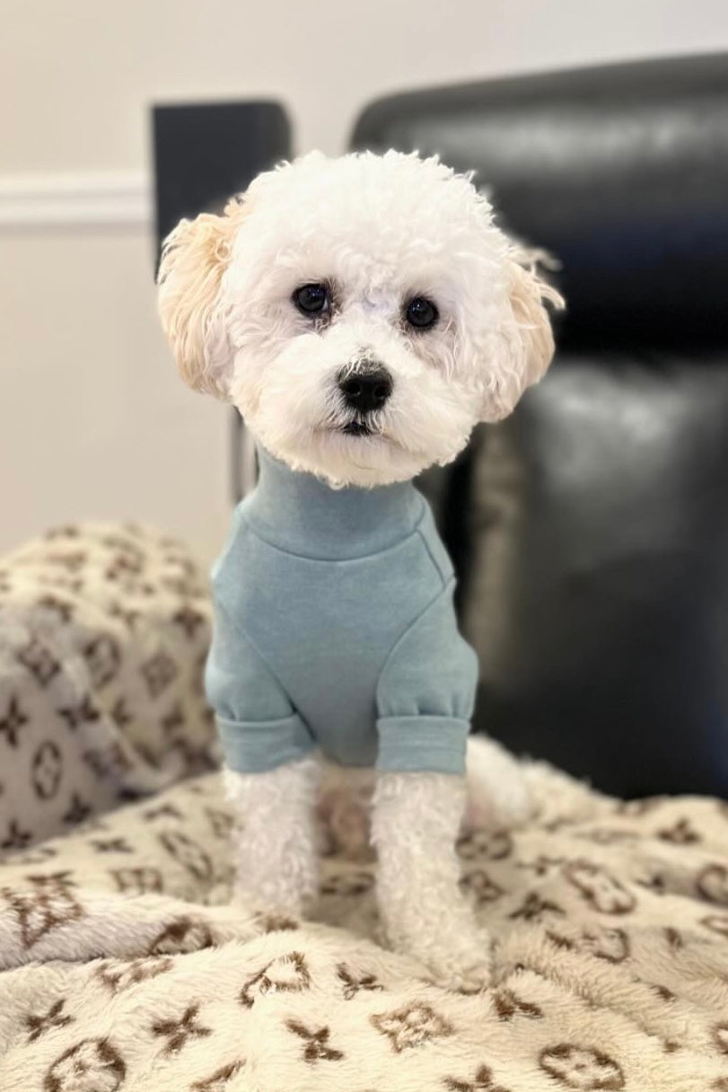 The Basics Turtleneck – Soft & Stretchy Everyday Dog Top