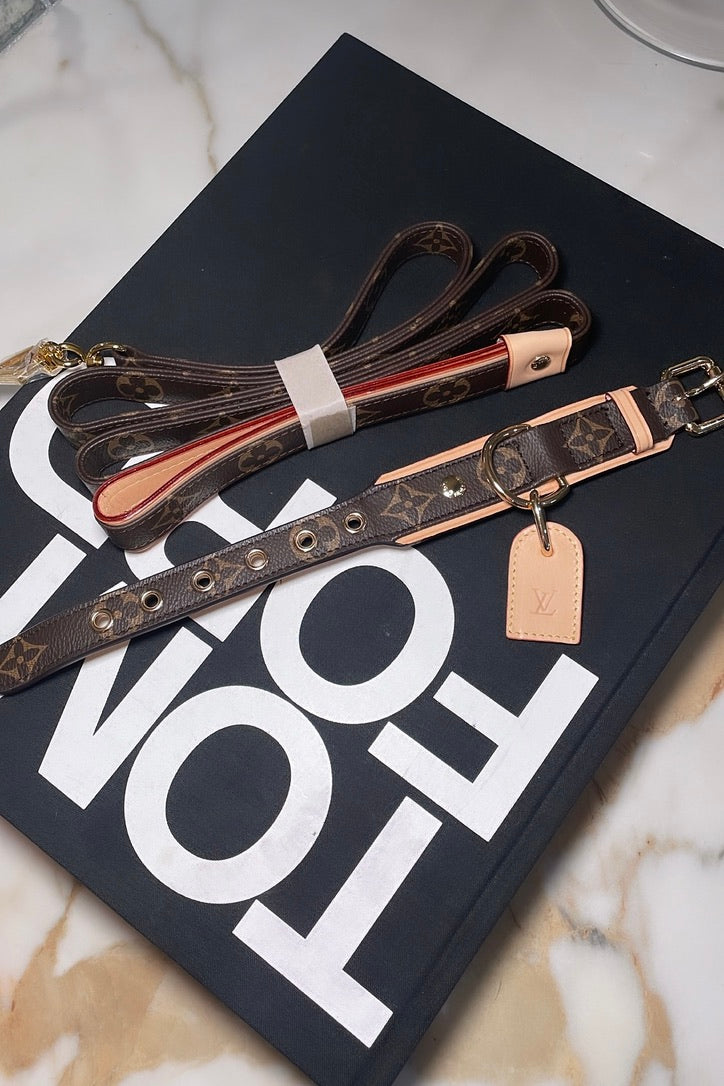Premium Dog Collar with Leash Set