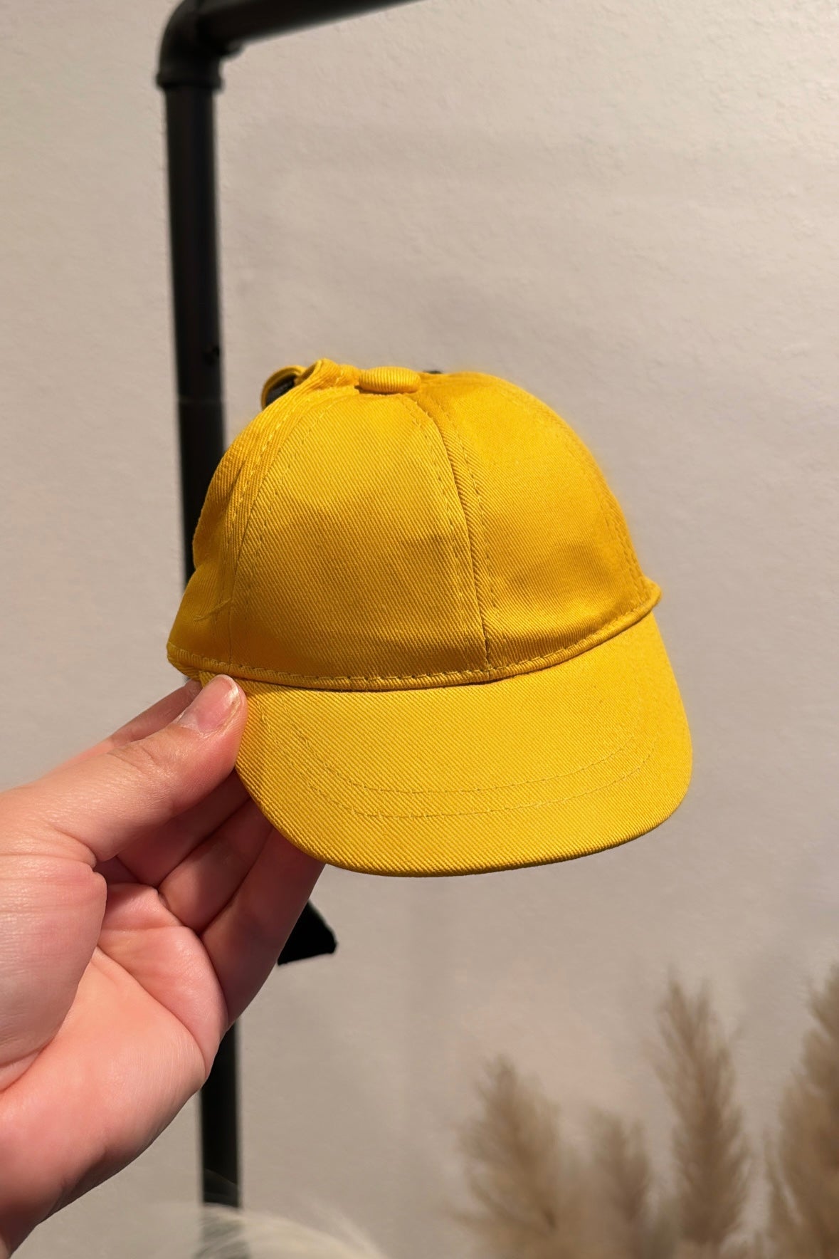 Sporty Dog Baseball Cap