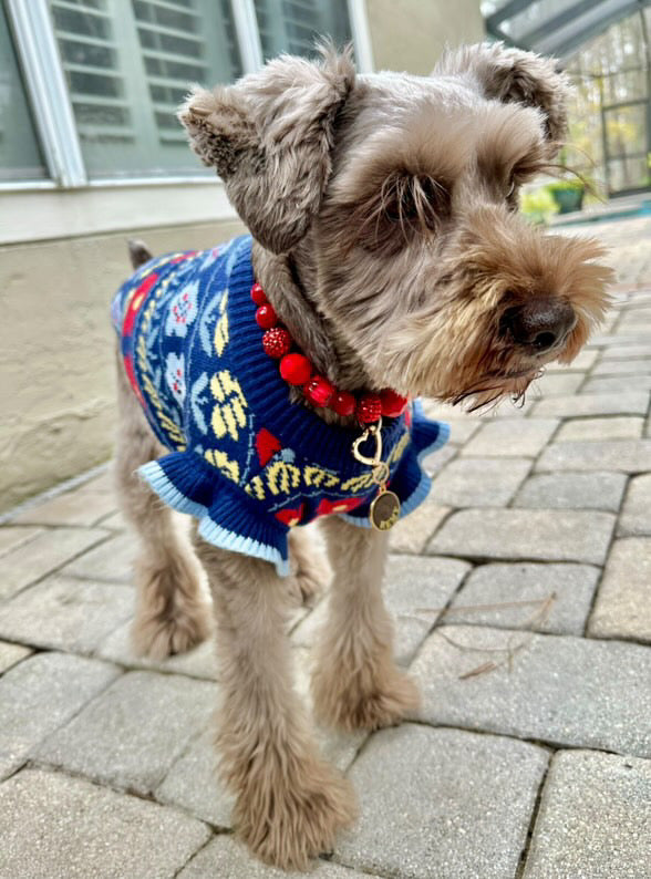 Some Sweater (FINAL SALE)