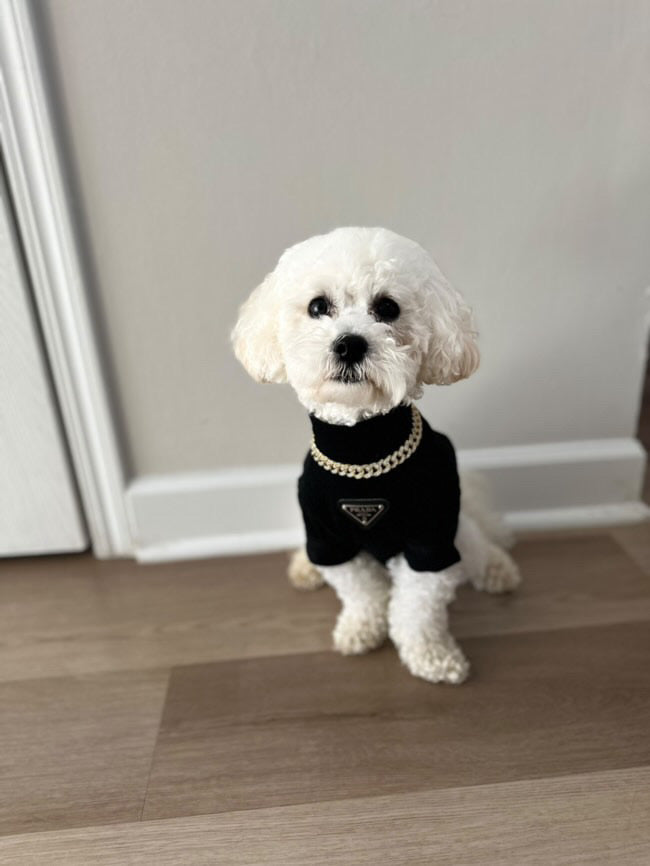 Pawda Lux Turtle Neck