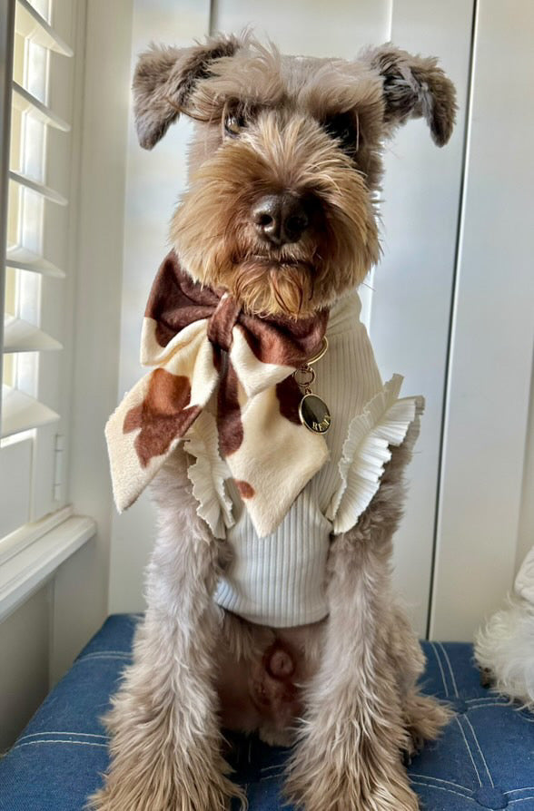 Stylish Frill Dog Top