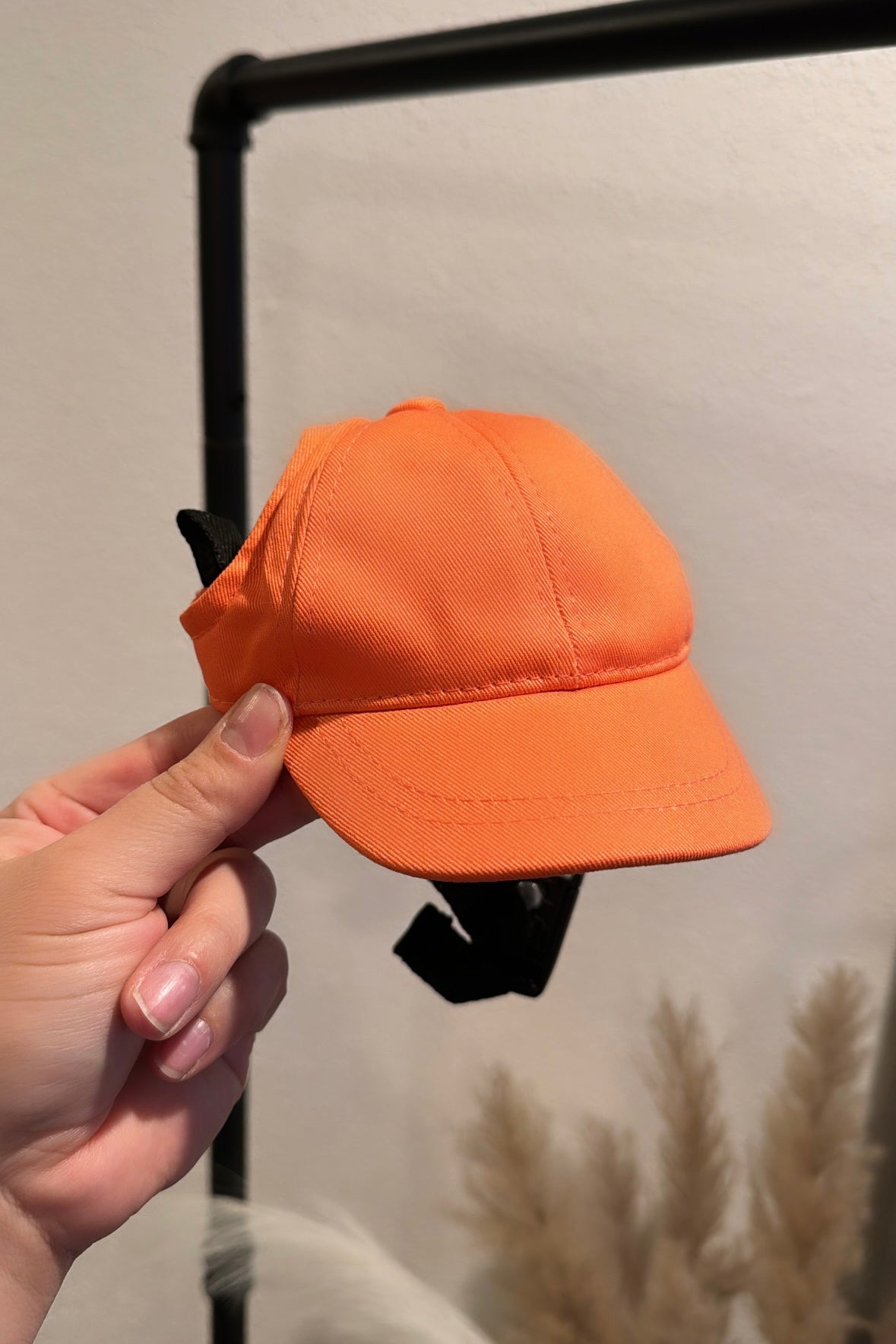 Sporty Dog Baseball Cap