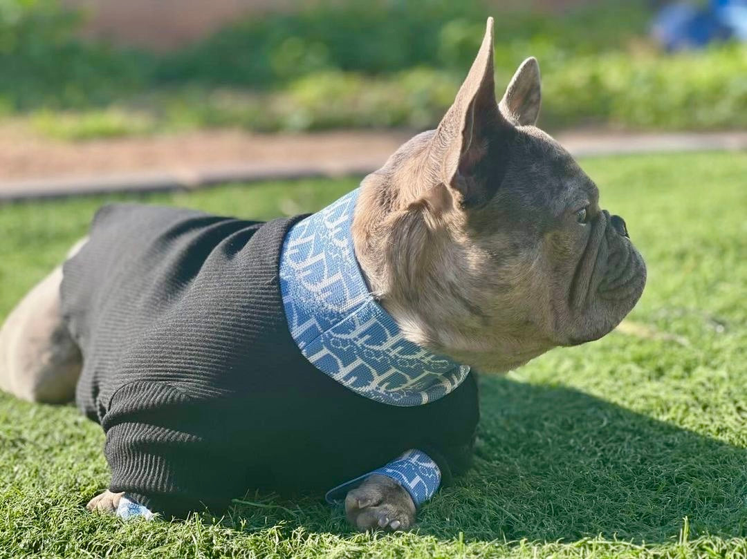 Lux Dogior Turtle Neck