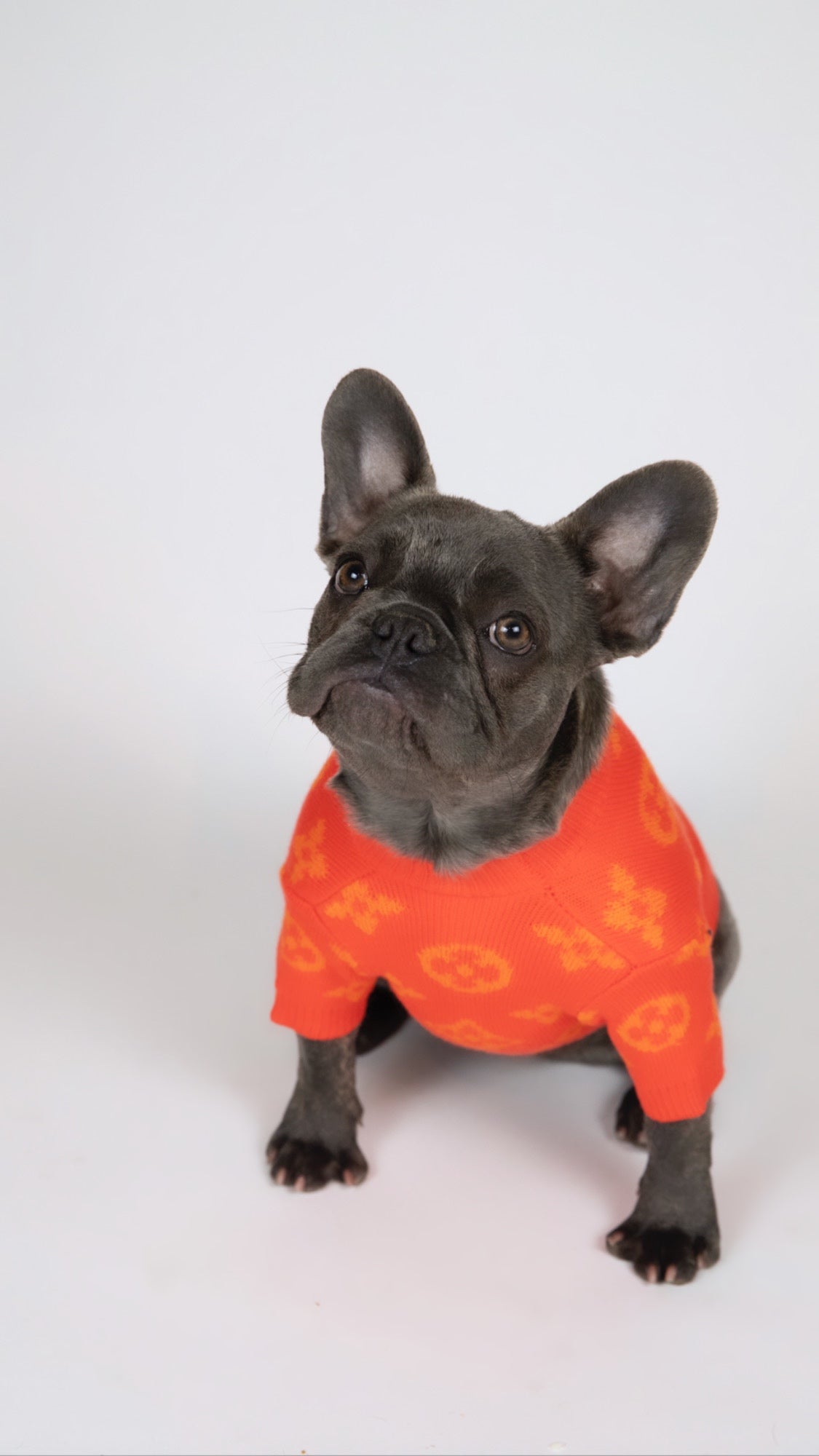 Furry Vuitton Sweater