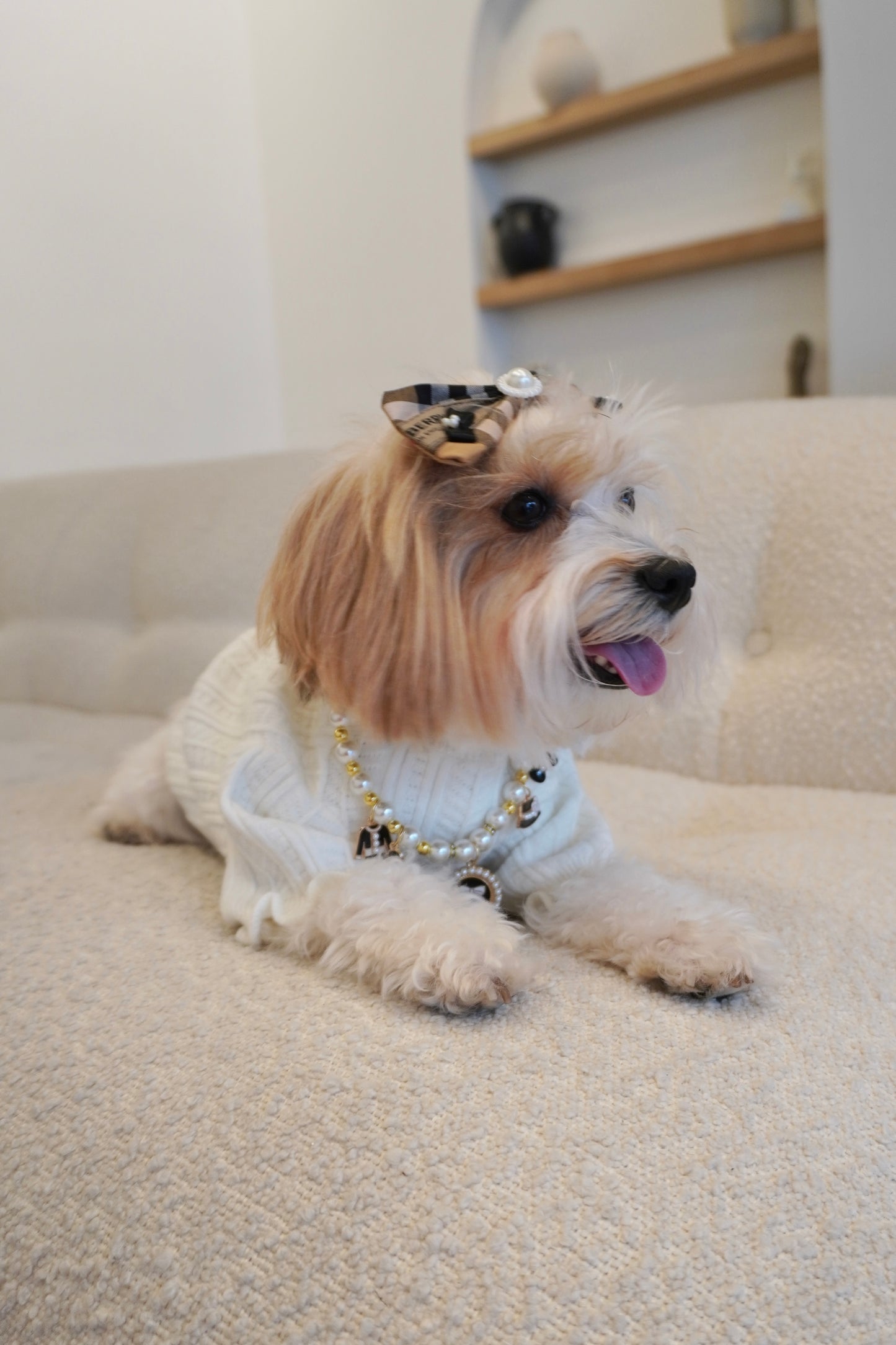 Knitted High Neck Dog Top with Ruffled Trim