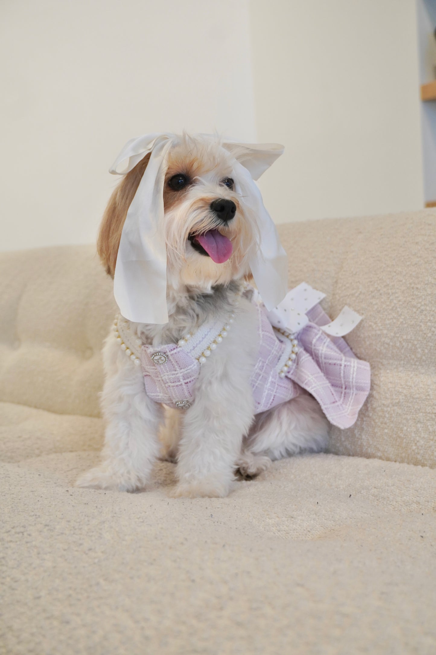Spring Fling Queen Dress – Gossip Lilac Tweed Dog Dress